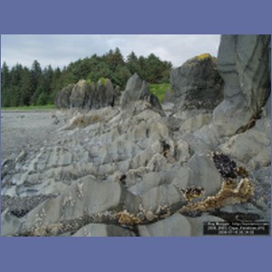 2006_0963_Cape_Fanshaw.JPG