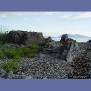 2006_0966_Cape_Fanshaw.JPG