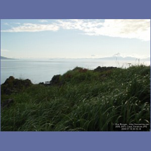 2006_0975_Cape_Fanshaw.JPG