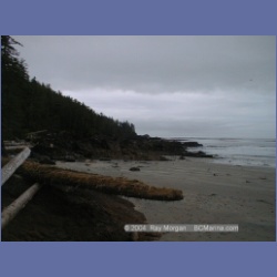 2002_607_Cape_Scott.html