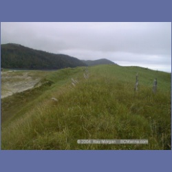 2002_616_Cape_Scott.html