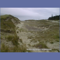2002_625_Cape_Scott.html