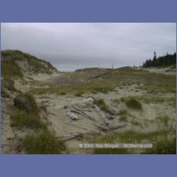 2002_628_Cape_Scott.html