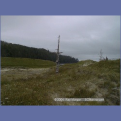 2002_632_Cape_Scott.html