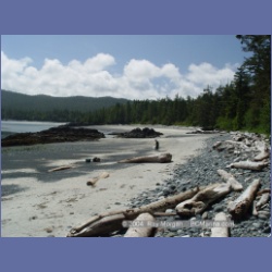 2003_3897_Cape_Sutil_Nahwitti_Bar.html