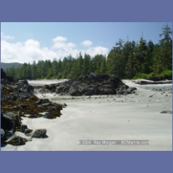 2003_3901_Cape_Sutil_Nahwitti_Bar.html