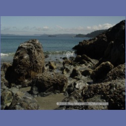 2003_3909_Cape_Sutil_Nahwitti_Bar.html