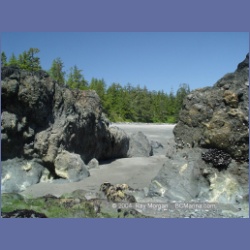 2003_3911_Cape_Sutil_Nahwitti_Bar.html