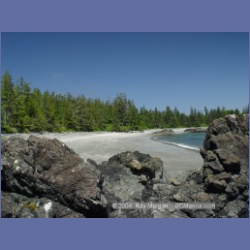 2003_3916_Cape_Sutil_Nahwitti_Bar.html