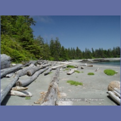 2003_3917_Cape_Sutil_Nahwitti_Bar.html