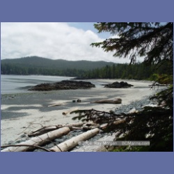 2003_3921_Cape_Sutil_Nahwitti_Bar.html