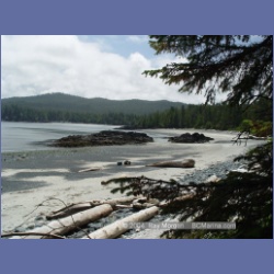 2003_3922_Cape_Sutil_Nahwitti_Bar.html