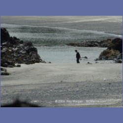 2003_3924_Cape_Sutil_Nahwitti_Bar.html