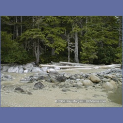 1998_163_Chapple_Inlet.html