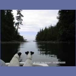 1998_168_Chapple_Inlet.html