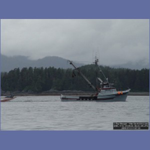 2006_1112_Chatham_Strait_AK.JPG