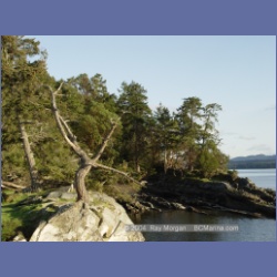 2004_5994_Chivers_Point_Wallace_Island.html