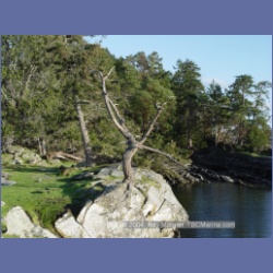 2004_6001_Chivers_Point_Wallace_Island.html