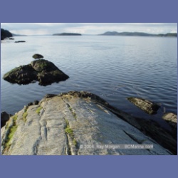 2004_6002_Chivers_Point_Wallace_Island.html