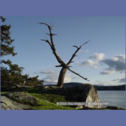 2004_6007_Chivers_Point_Wallace_Island.html
