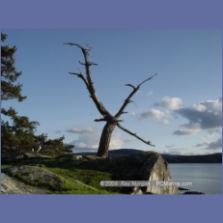 2004_6008_Chivers_Point_Wallace_Island.html
