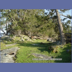 2004_6010_Chivers_Point_Wallace_Island.html