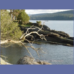 2004_6018_Chivers_Point_Wallace_Island.html
