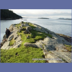 2004_6024_Chivers_Point_Wallace_Island.html