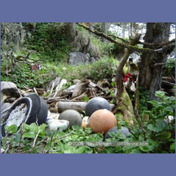 2005_0111_Claude_BC_Coast.html