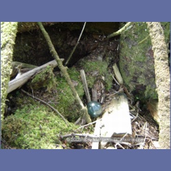 2005_0114_Claude_BC_Coast.html