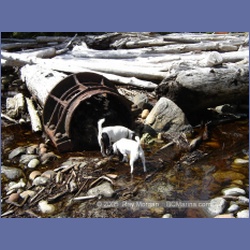 2005_0115_Claude_BC_Coast.html