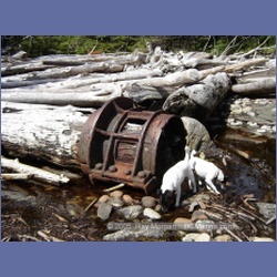 2005_0116_Claude_BC_Coast.html