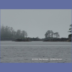2004_7099_Clifford_Bay_Aristazabal_Island.html