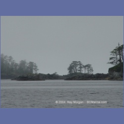 2004_7100_Clifford_Bay_Aristazabal_Island.html