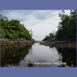 2004_7102_Clifford_Bay_Aristazabal_Island.html