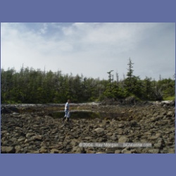 2004_7103_Clifford_Bay_Aristazabal_Island.html