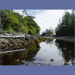2004_7104_Clifford_Bay_Aristazabal_Island.html