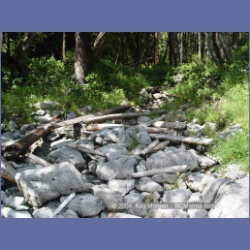 2004_7105_Clifford_Bay_Aristazabal_Island.html