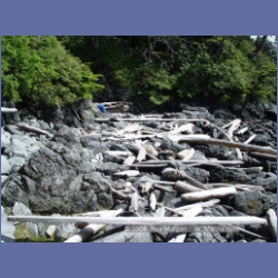 2004_7106_Clifford_Bay_Aristazabal_Island.html