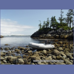2004_7107_Clifford_Bay_Aristazabal_Island.html