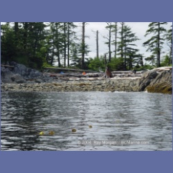 2004_7111_Clifford_Bay_Aristazabal_Island.html