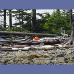 2004_7112_Clifford_Bay_Aristazabal_Island.html
