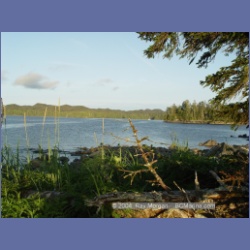 2004_7119_Clifford_Bay_Aristazabal_Island.html