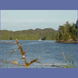 2004_7120_Clifford_Bay_Aristazabal_Island.html