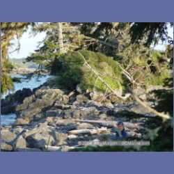 2004_7122_Clifford_Bay_Aristazabal_Island.html