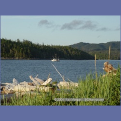 2004_7123_Clifford_Bay_Aristazabal_Island.html