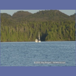 2004_7128_Clifford_Bay_Aristazabal_Island.html