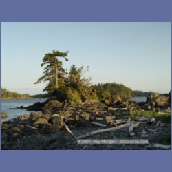 2004_7131_Clifford_Bay_Aristazabal_Island.html