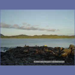 2004_7134_Clifford_Bay_Aristazabal_Island.html