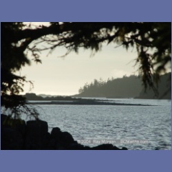 2004_7135_Clifford_Bay_Aristazabal_Island.html